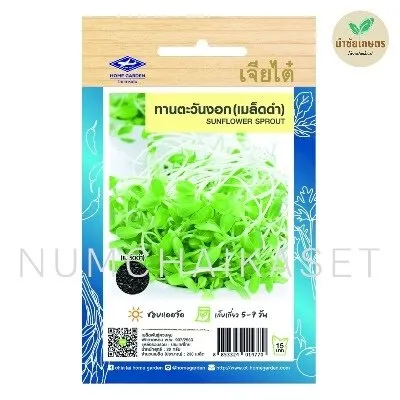 HG ทานตะวันงอก (เมล็ดดำ) 20g