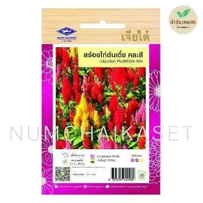 HF สร้อยไก่ต้นเตี้ย คละสี 50S