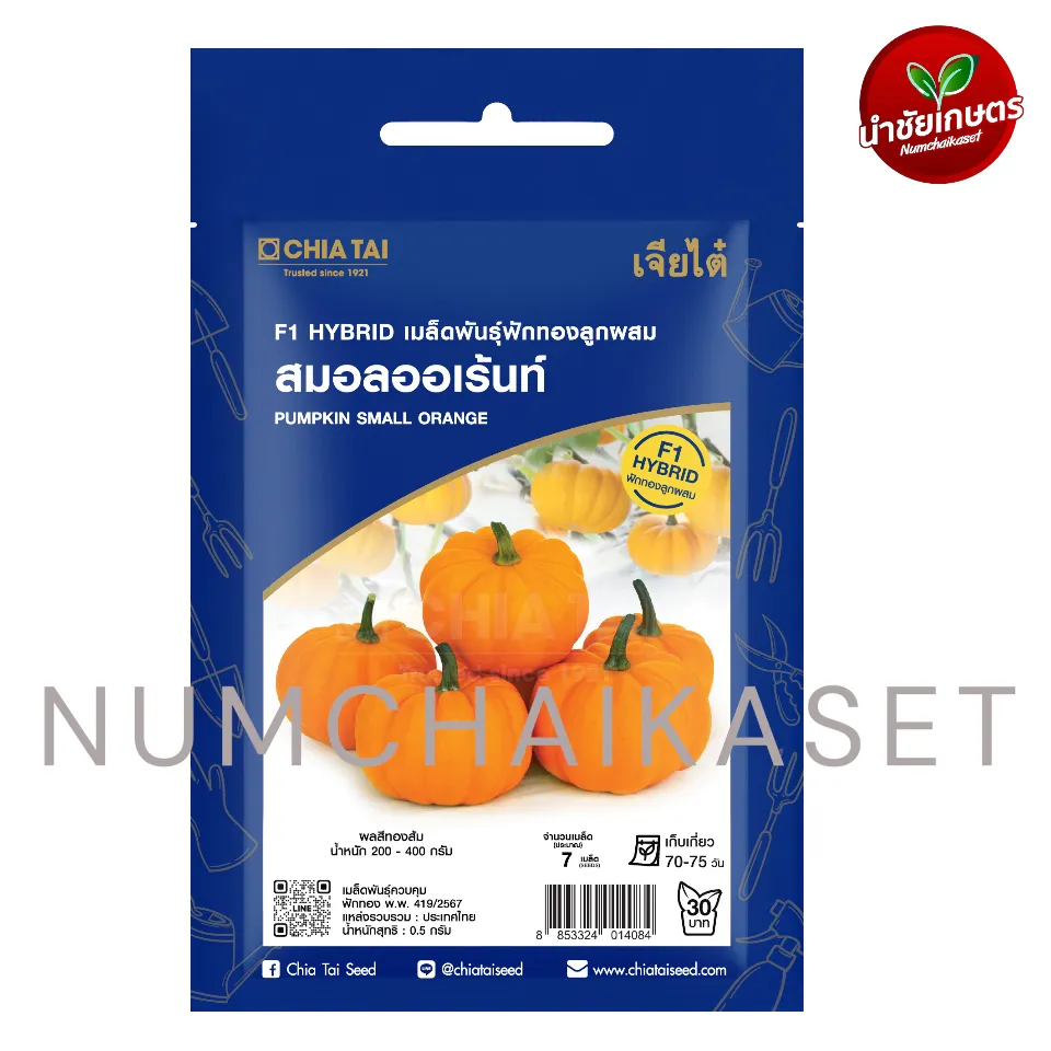 SE ฟักทอง สมอลออเร้นท์ 2g