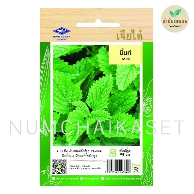 HG เปเปอร์มิ้นท์ 0.1g