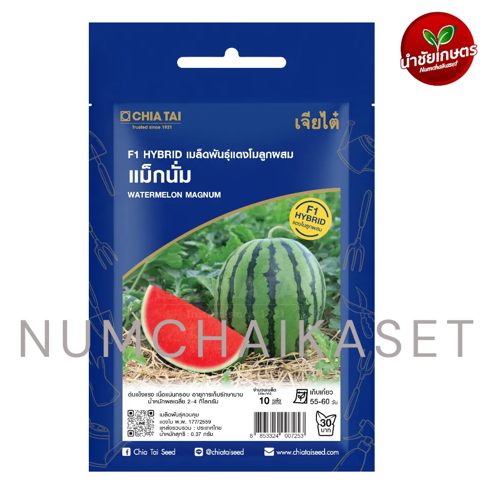 SE แตงโม แม็กนั่ม 15S