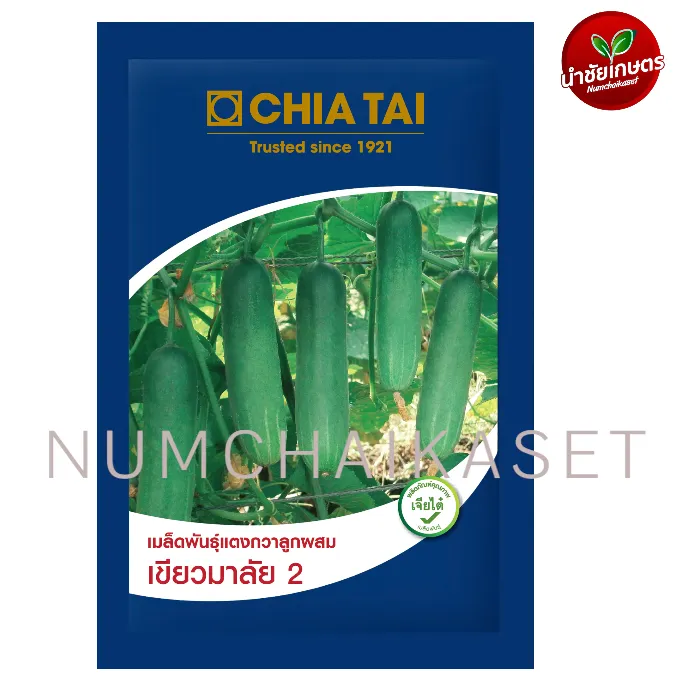 SE แตงกวา เขียวมาลัย 2 2g