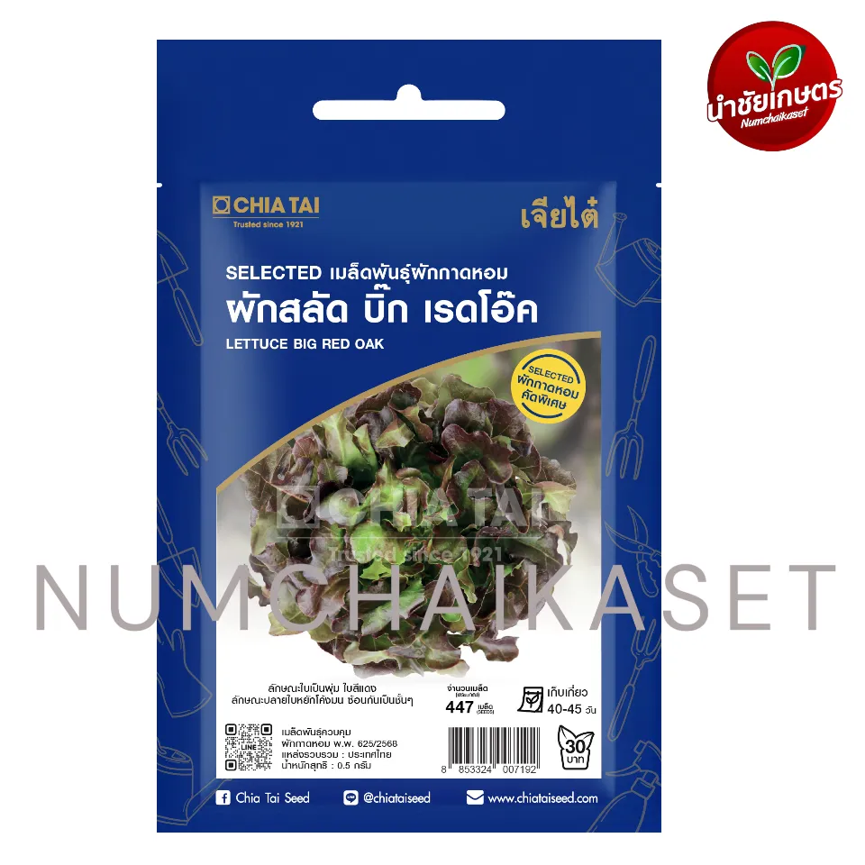SE ผักสลัด บิ๊กเรดโอ๊ค 0.5g