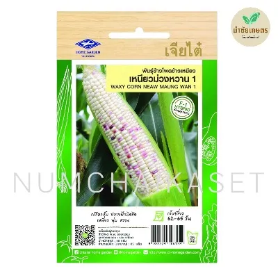 SE ข้าวโพด เหนียวม่วงหวาน1 10g