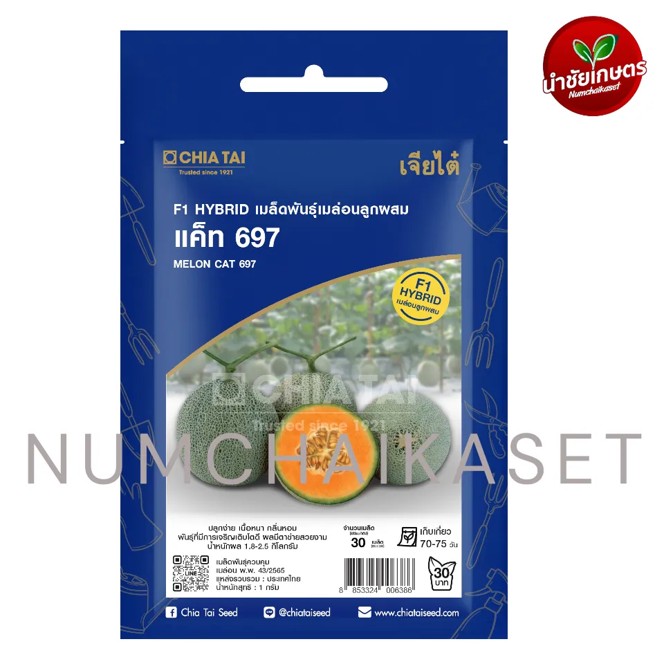 [S0473SE] SE เมล่อน แค็ท 697 1g