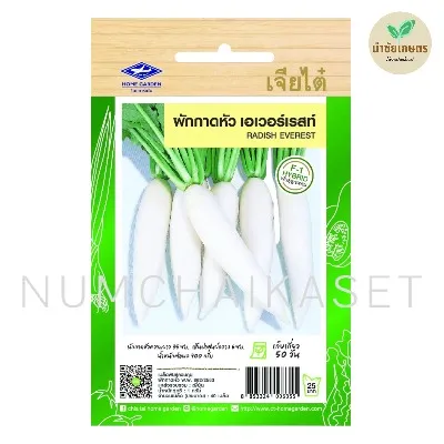 [S0414SE] SE ผักกาดหัว เอเวอร์เรสท์ 1g