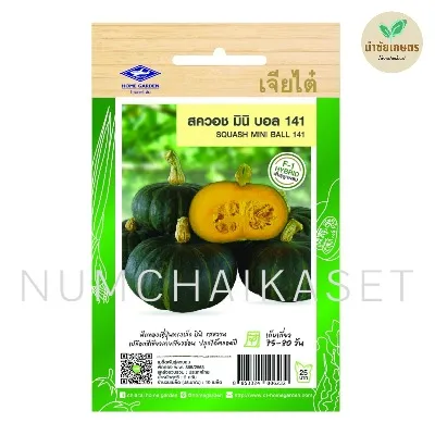 [S0481SE] SE สควอช มินิบอล141 2g