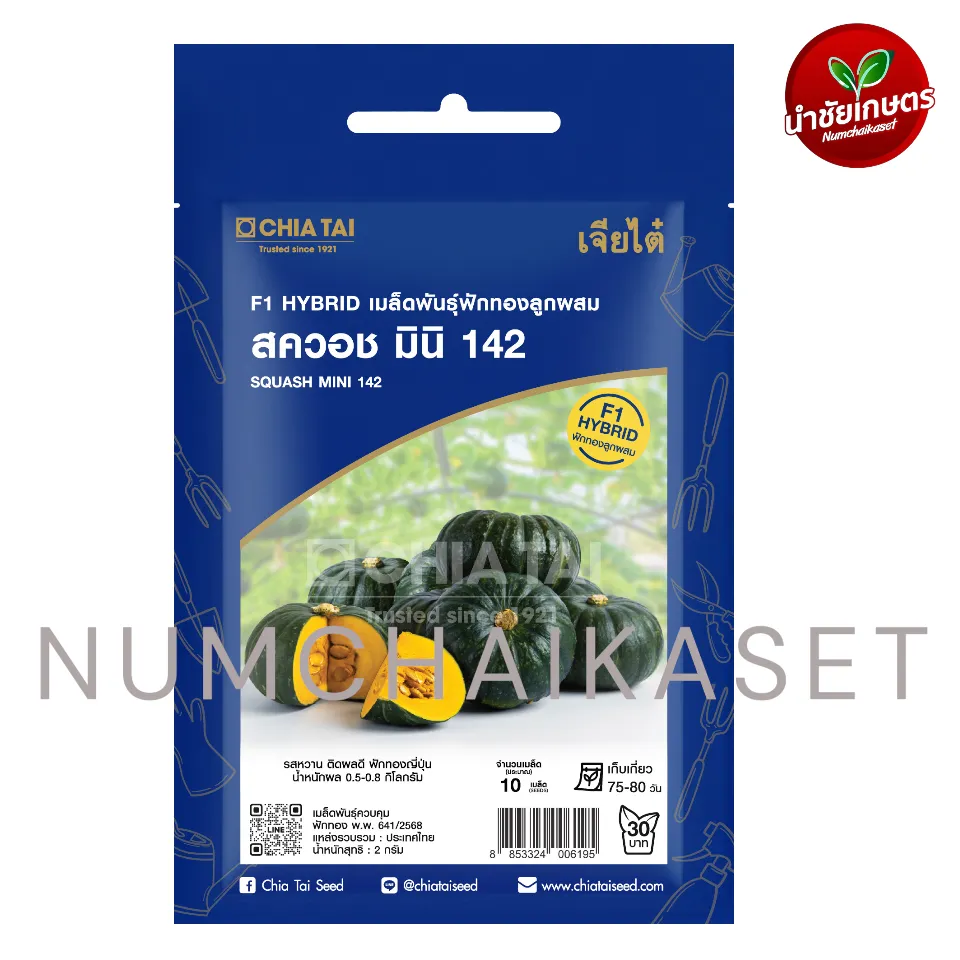 [S0480SE] SE สควอช มินิ 142 2g