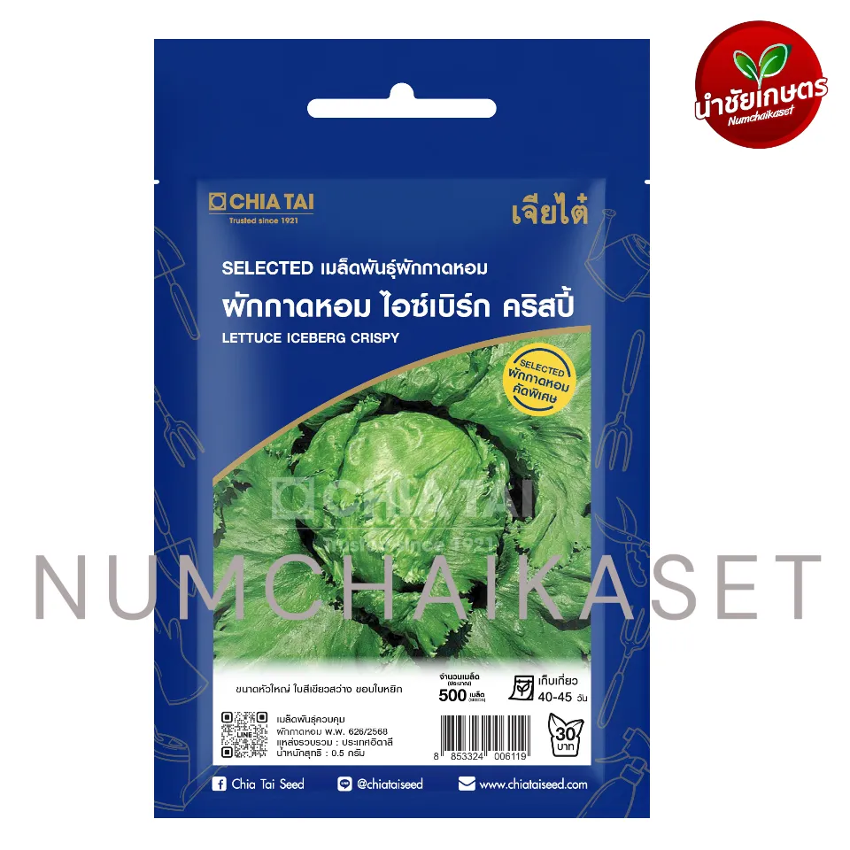 [S0413SE] SE ผักกาดหอม ไอซ์เบิร์ก คริสปี้ 5g