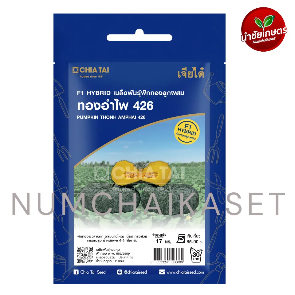 [S0436SE] SE ฟักทอง ทองอำไพ 426 2g