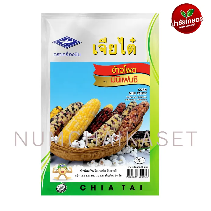 SE ข้าวโพดมินิแฟนซี 2g