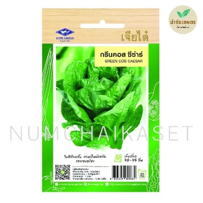 [S0405SE] SE ผักสลัด กรีนคอส ซีซ่าร์ 1g