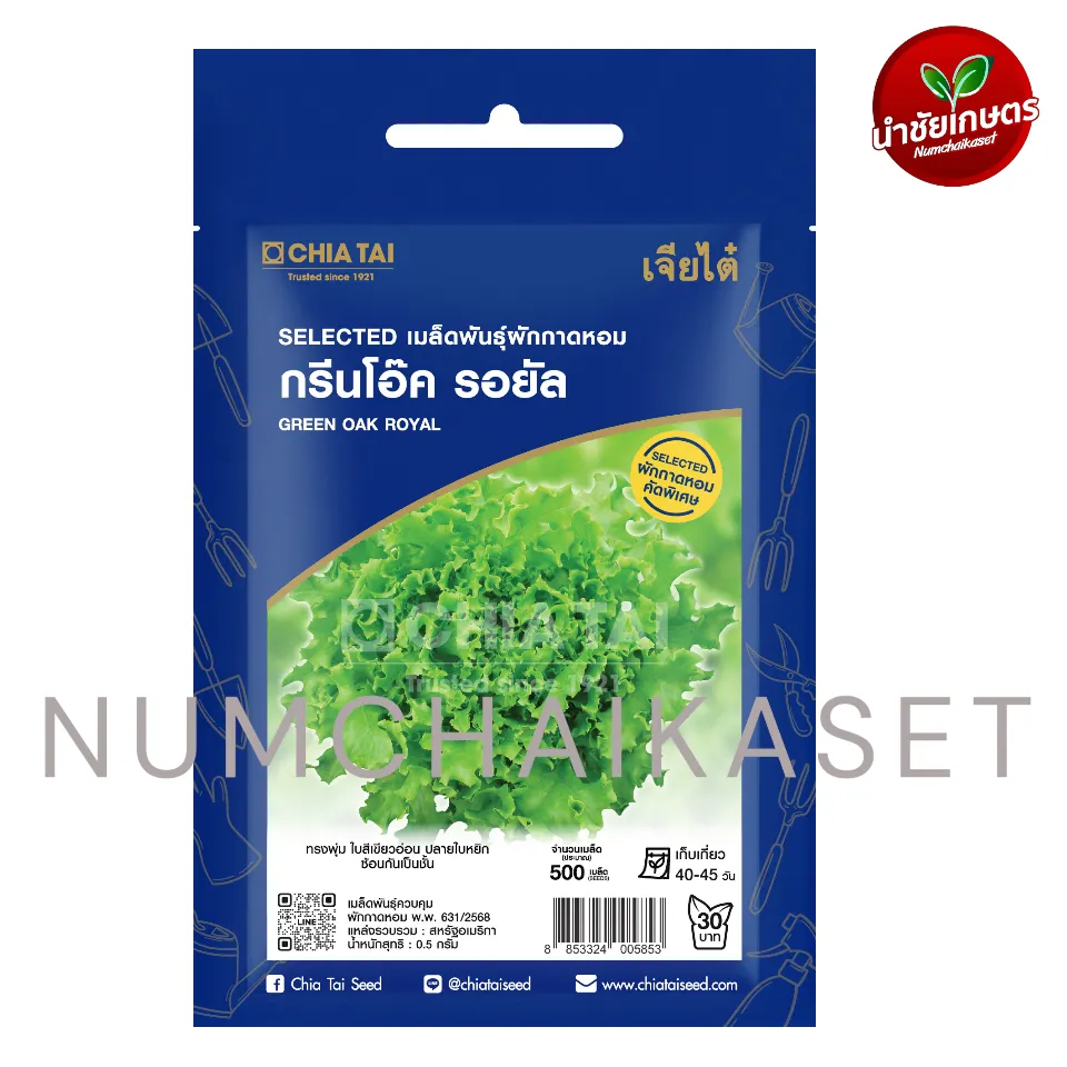 [S0406SE] SE ผักสลัด กรีนโอ๊ค รอยัล 1g