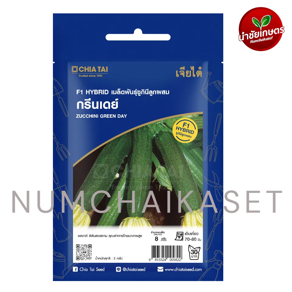 SE ซูกินี กรีนเดย์ 2g