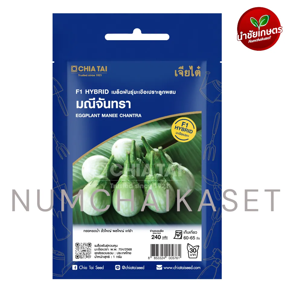 [S0458SE] SE มะเขือเปราะ มณีจันทรา 1g
