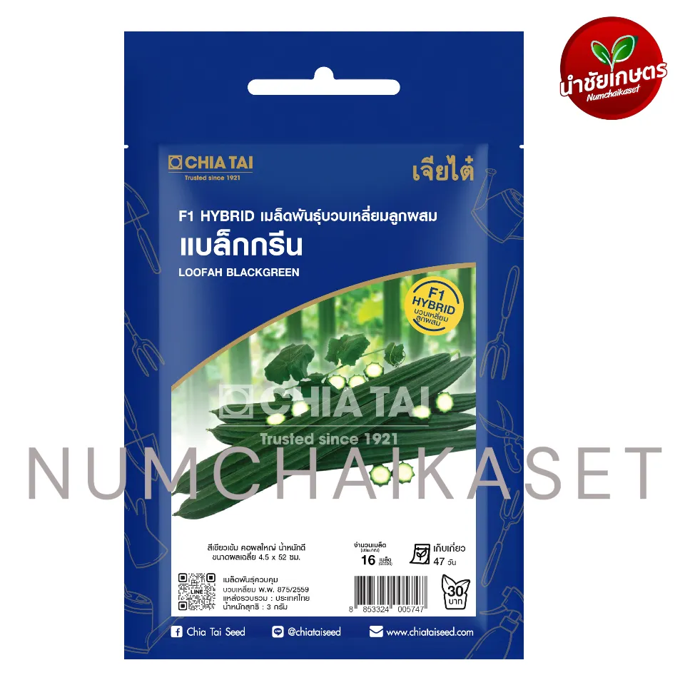 [S0402SE] SE บวบเหลี่ยม แบล็กกรีน 3g