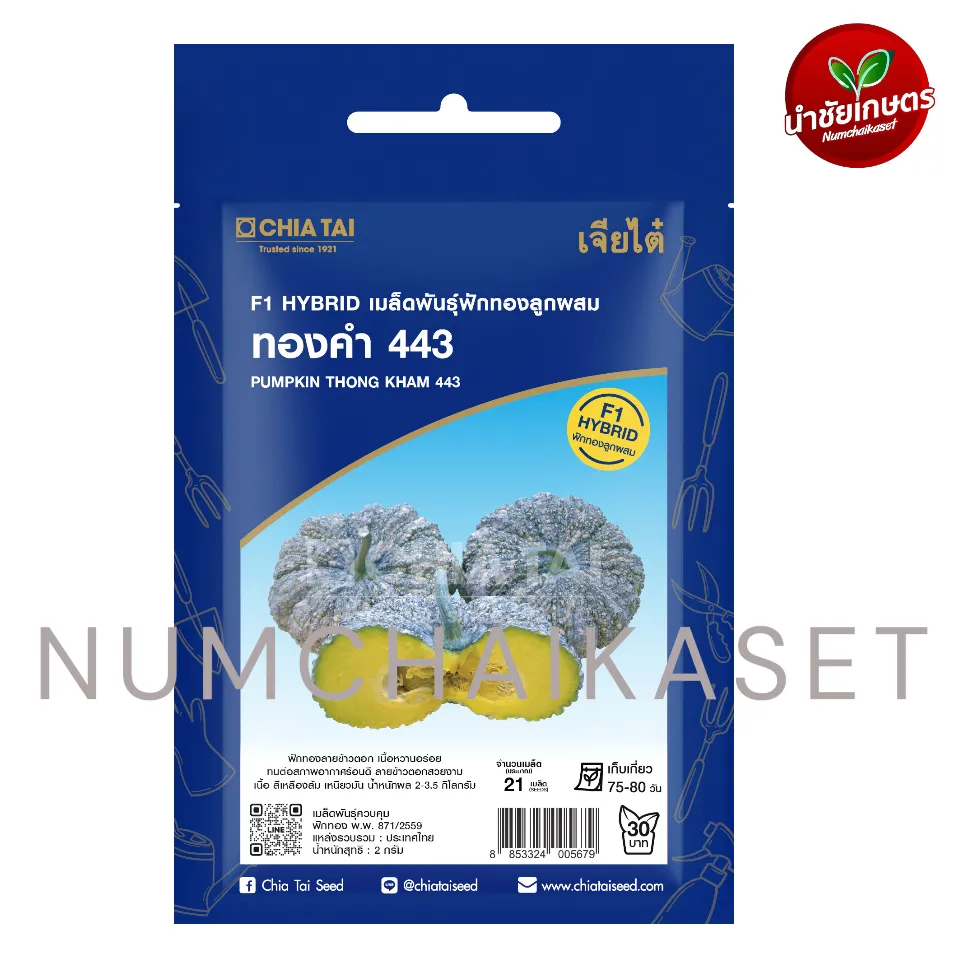 [S0433SE] SE ฟักทอง ทองคำ443 2g