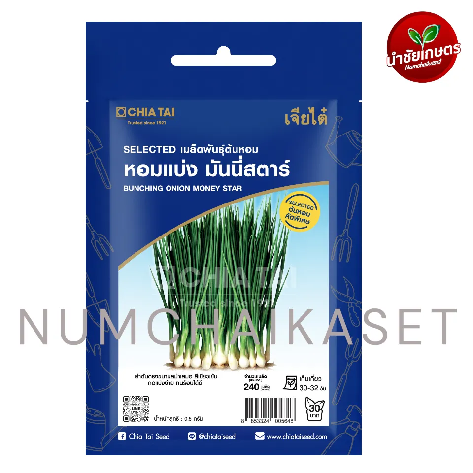 [S0485SE] SE หอมแบ่ง มันนี่สตาร์ 0.5g