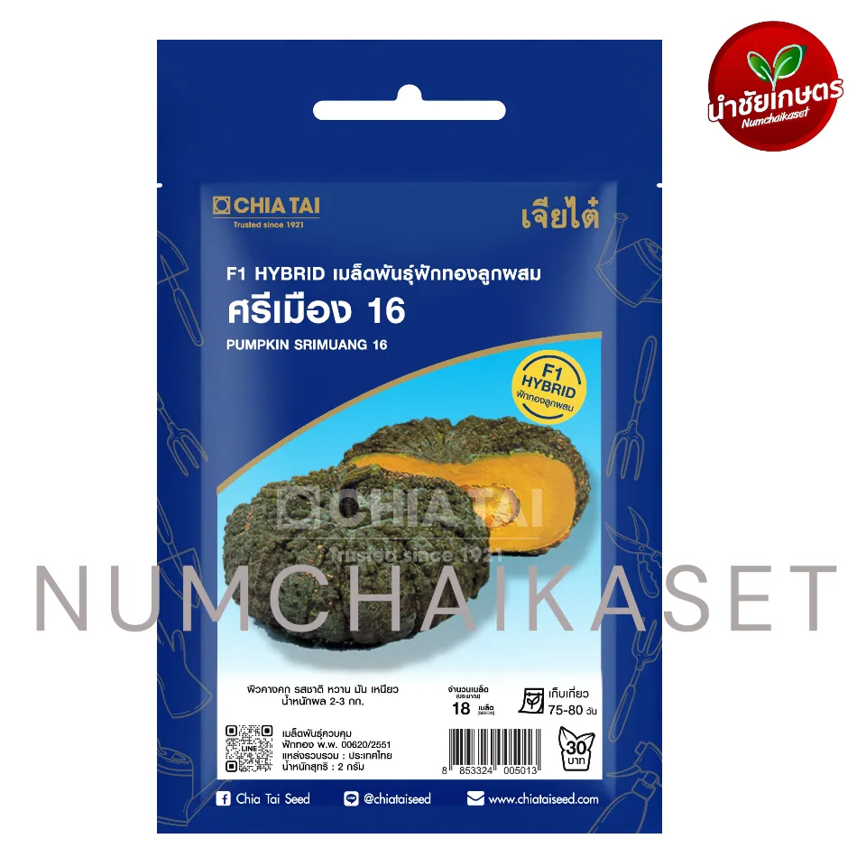 [S0441SE] SE ฟักทอง ศรีเมือง 16 2g