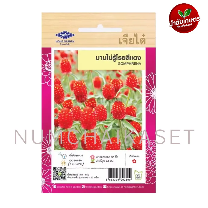 HF บานไม่รู้โรยสีแดง