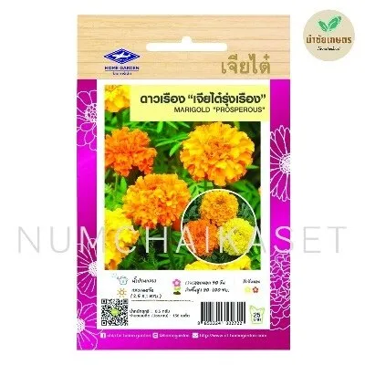 HF ดาวเรืองเจียไต๋รุ่งเรือง คละสี 0.5g