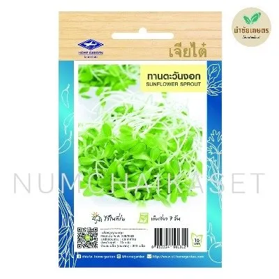 HG ทานตะวันงอก 20g
