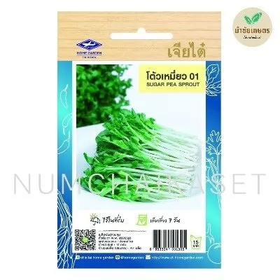 HG ถั่วลันเตา โต้วเหมี่ยว 01 10g