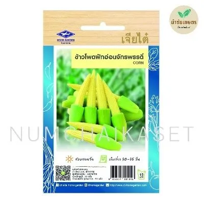 HG ข้าวโพดฝักอ่อน จักรพรรดิ์ 10g