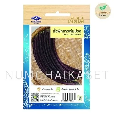 HG ถั่วฝักยาวพุ่มม่วง 10g