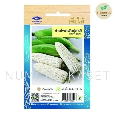 HG ข้าวโพด พันธุ์สำลี 20g