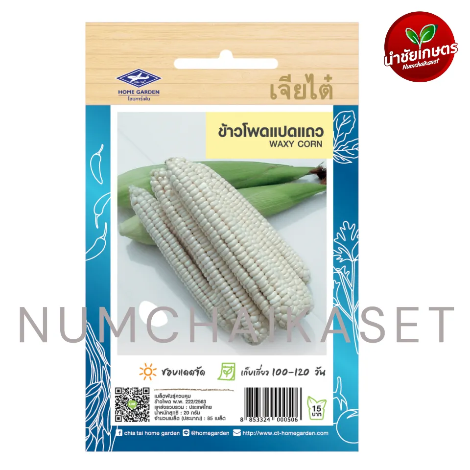 HG ข้าวโพดขาว แปดแถว 20g