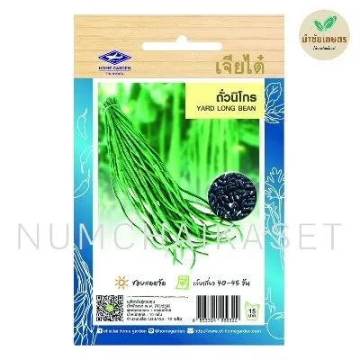 HG ถั่วฝักยาวนิโกร 10g