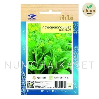 [S0191HG] HG กวางตุ้งดอก ต้นเขียว 10g