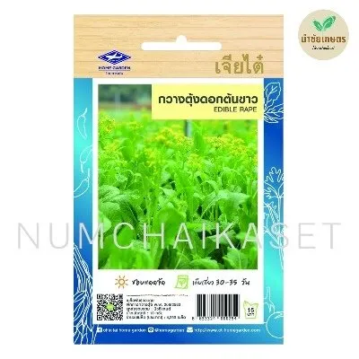 [S0190HG] HG กวางตุ้งดอก ต้นขาว 10g