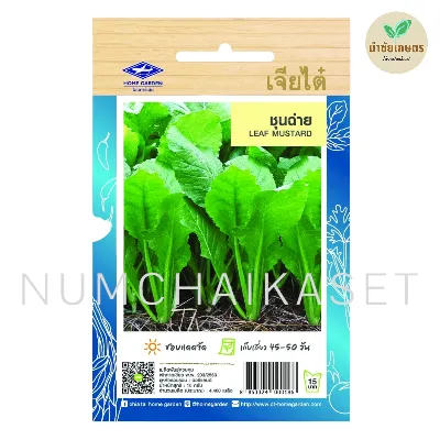 HG ชุนฉ่าย 10g