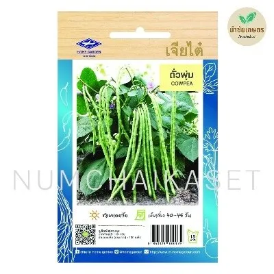 [S0244HG] HG ถั่วพุ่ม 10g