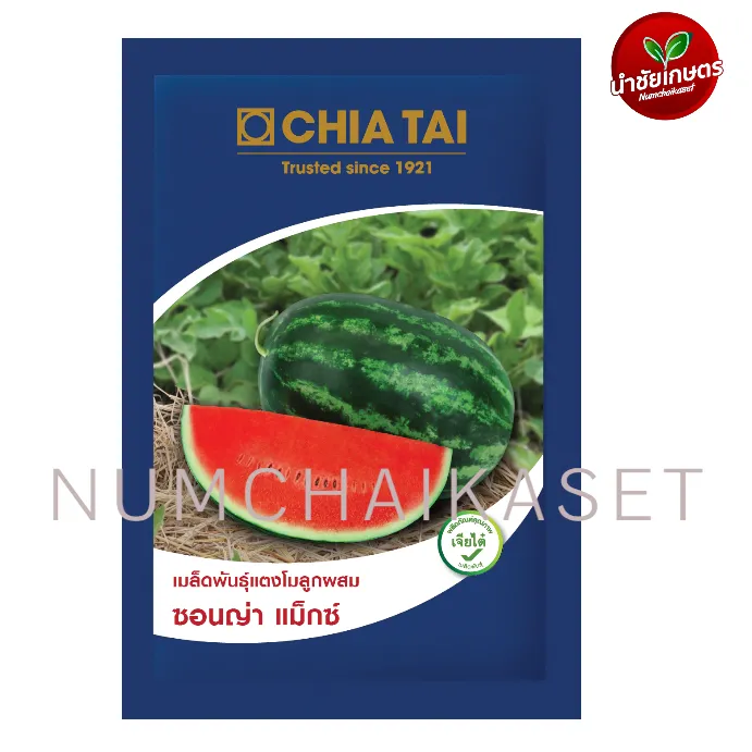 [S0700CT] CT แตงโม ซอนญ่าแม็กซ์ 40g