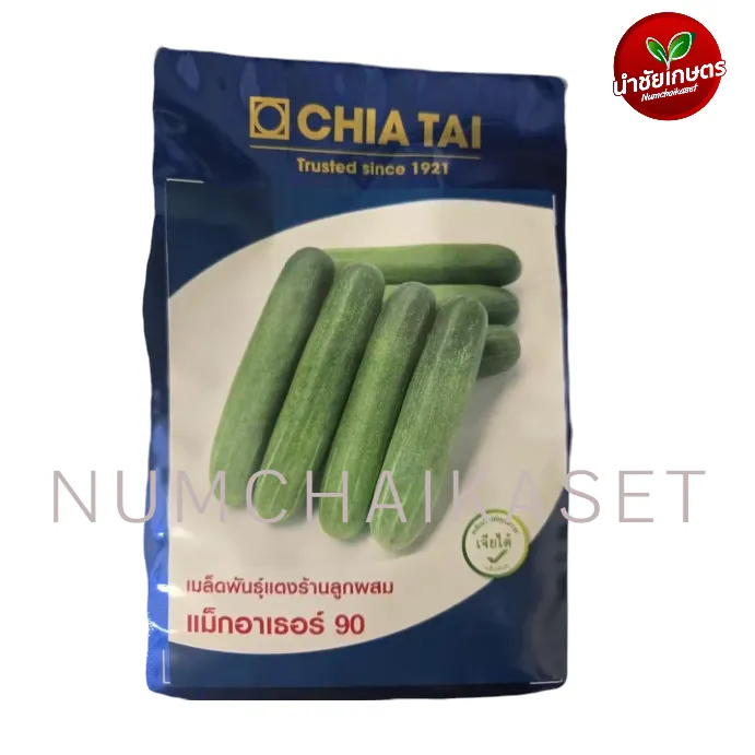 [S0845CT] CT แตงร้าน แม็กอาเธอร์ 90 10g