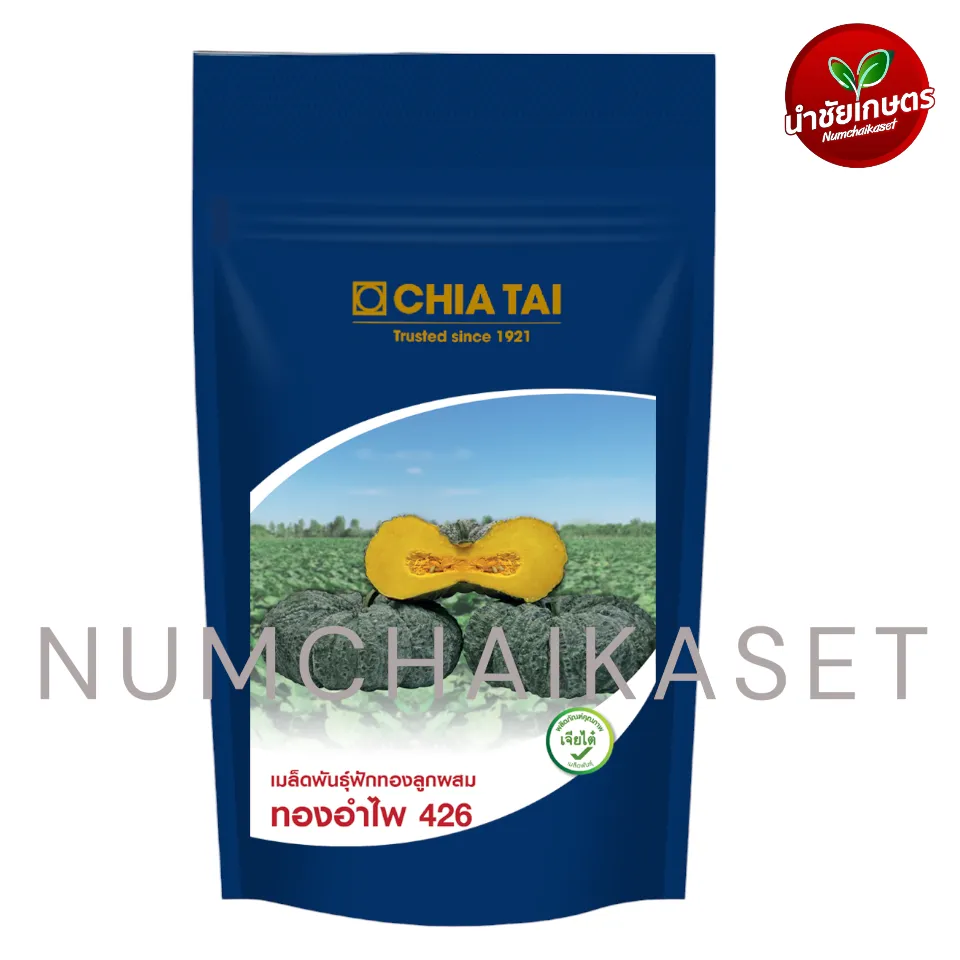 [S0505CT] CT ฟักทอง ทองอำไพ426 100g