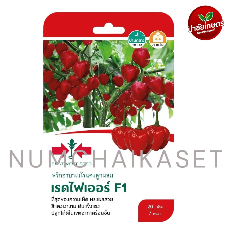 [S0705GG] GG พริกฮาบาเนโรแดง เรดไฟเออร์ F1