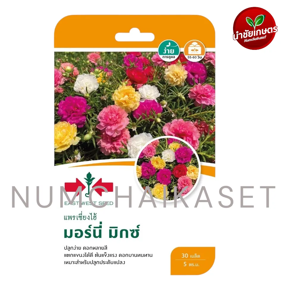 [S0832GG] GG แพรเซี่ยงไฮ้ มอร์นี่ มิกซ์