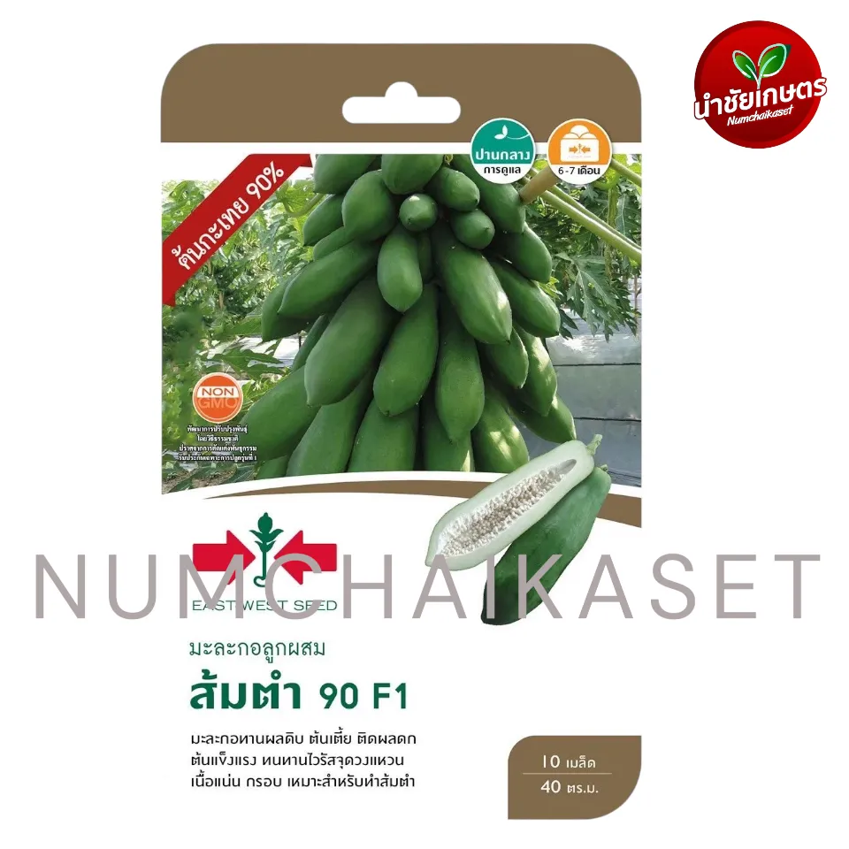 [S0586GG] GG ส้มตำ 90 F1