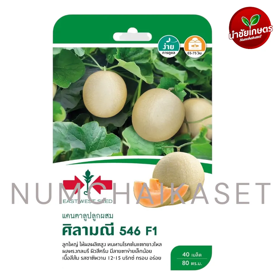 [S0050GG] GG แคนตาลูป ศิลามณี 546 F1