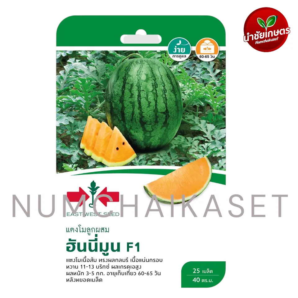 [S0010GG] GG แตงโมเหลือง F1 ฮันนีมูน