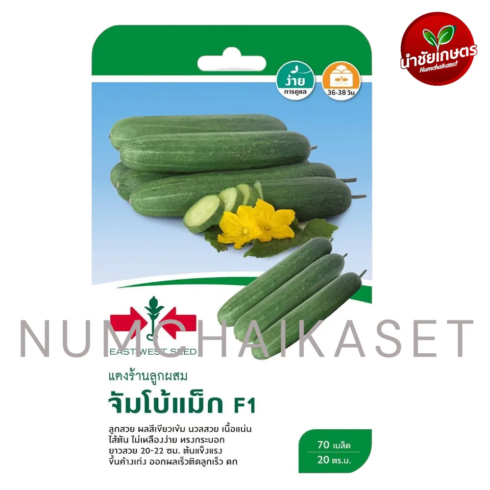 [S0023GG] GG แตงร้าน จัมโบ้แม็ก F1