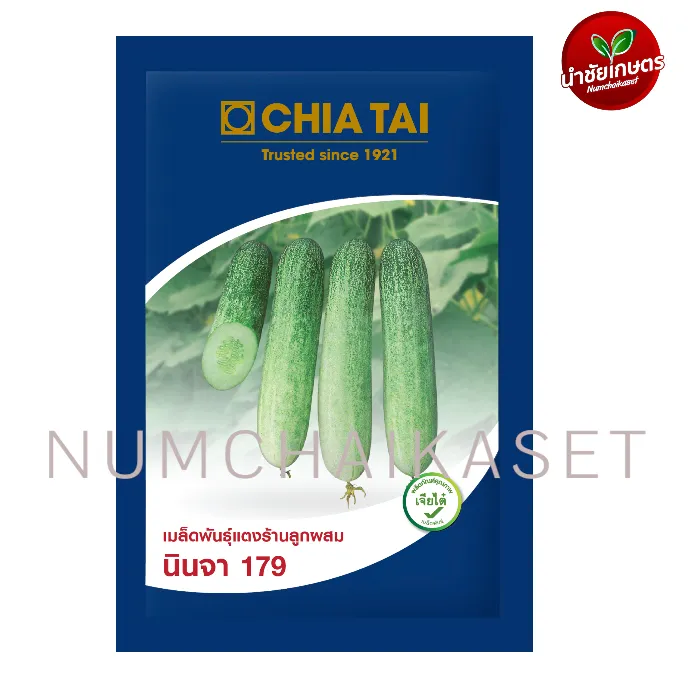 [S0038CT] CT แตงร้านนินจา 179 10g