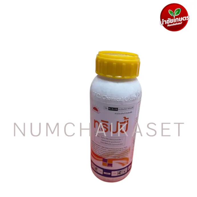 [C2TJ0188] ทริปปี้ 500cc