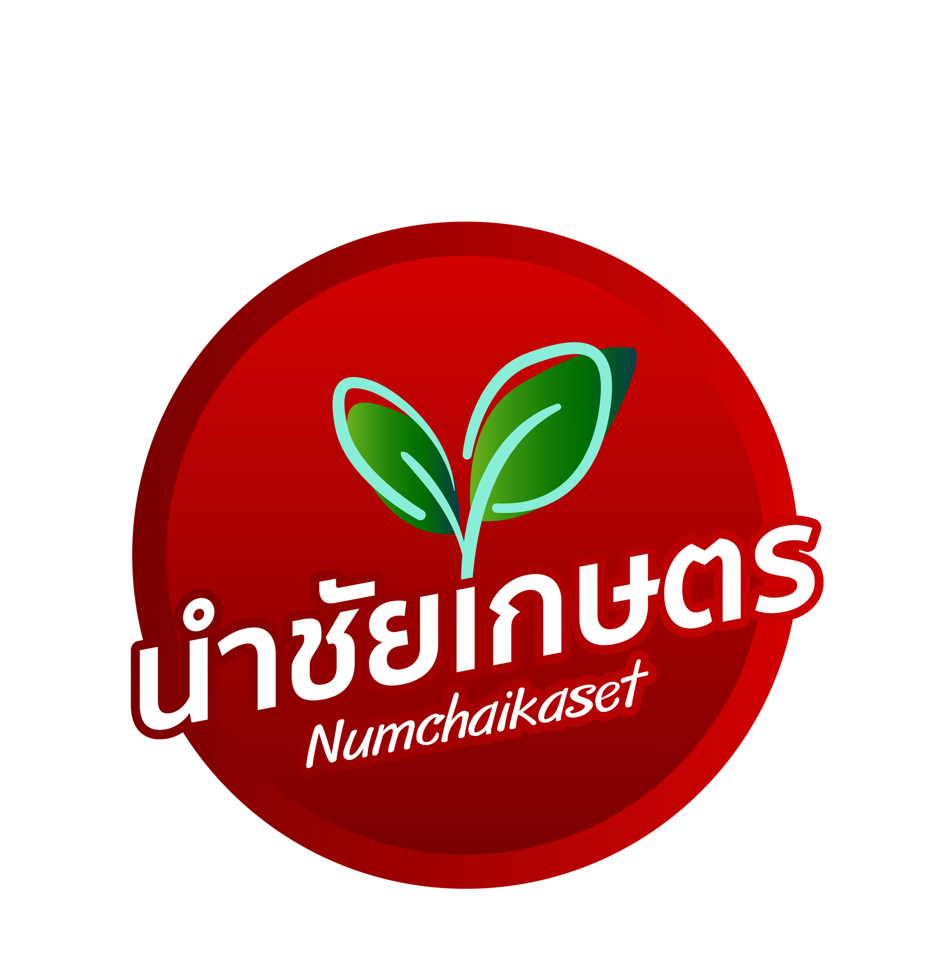 MAIN Website